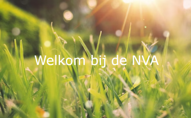 https://www.acupunctuur.nl/