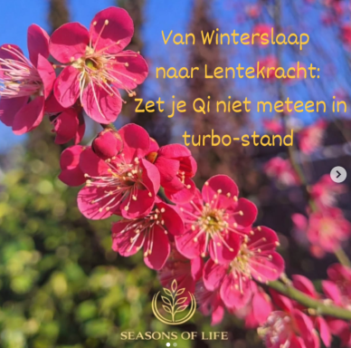 https://www.instagram.com/p/DVQ6onwCt-Q/?img_index=1